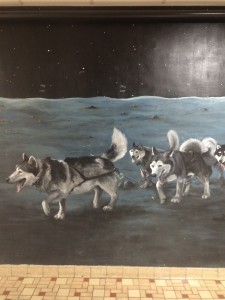 Huskies 2